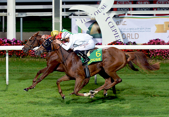 الخيالة السلطانية تتألق بمضمار تولوز